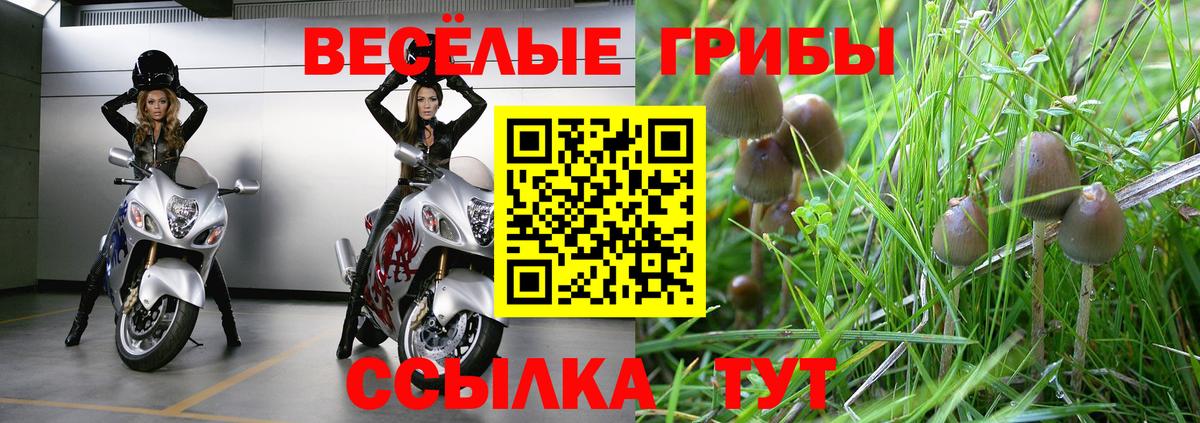 Канск  Галлюциногенные грибы прущие грибы  Вход с VPN 